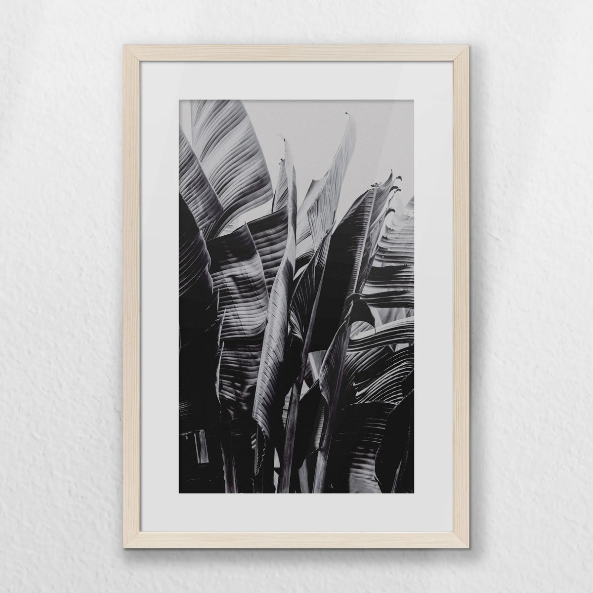PNP040W060