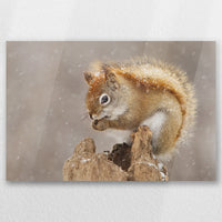 AC-045W030