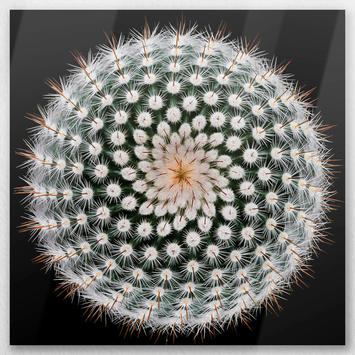 AL-040W040