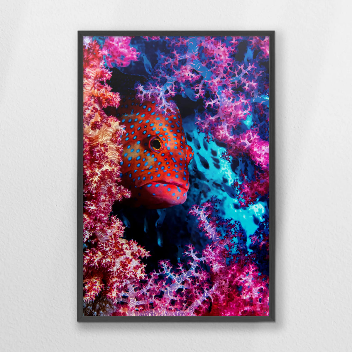 PK-062W093
