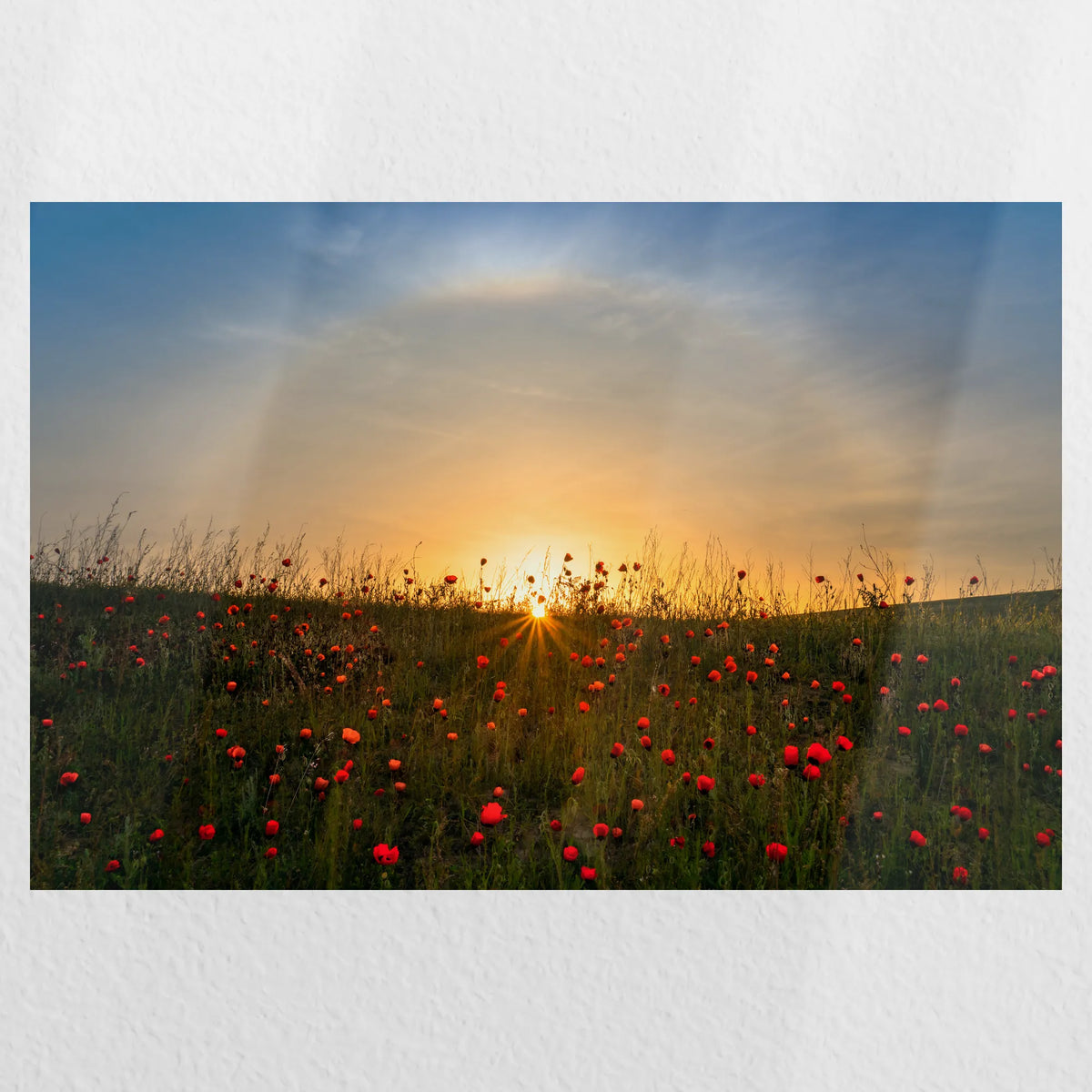 PO-030W020