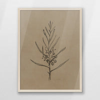 PN-050W070