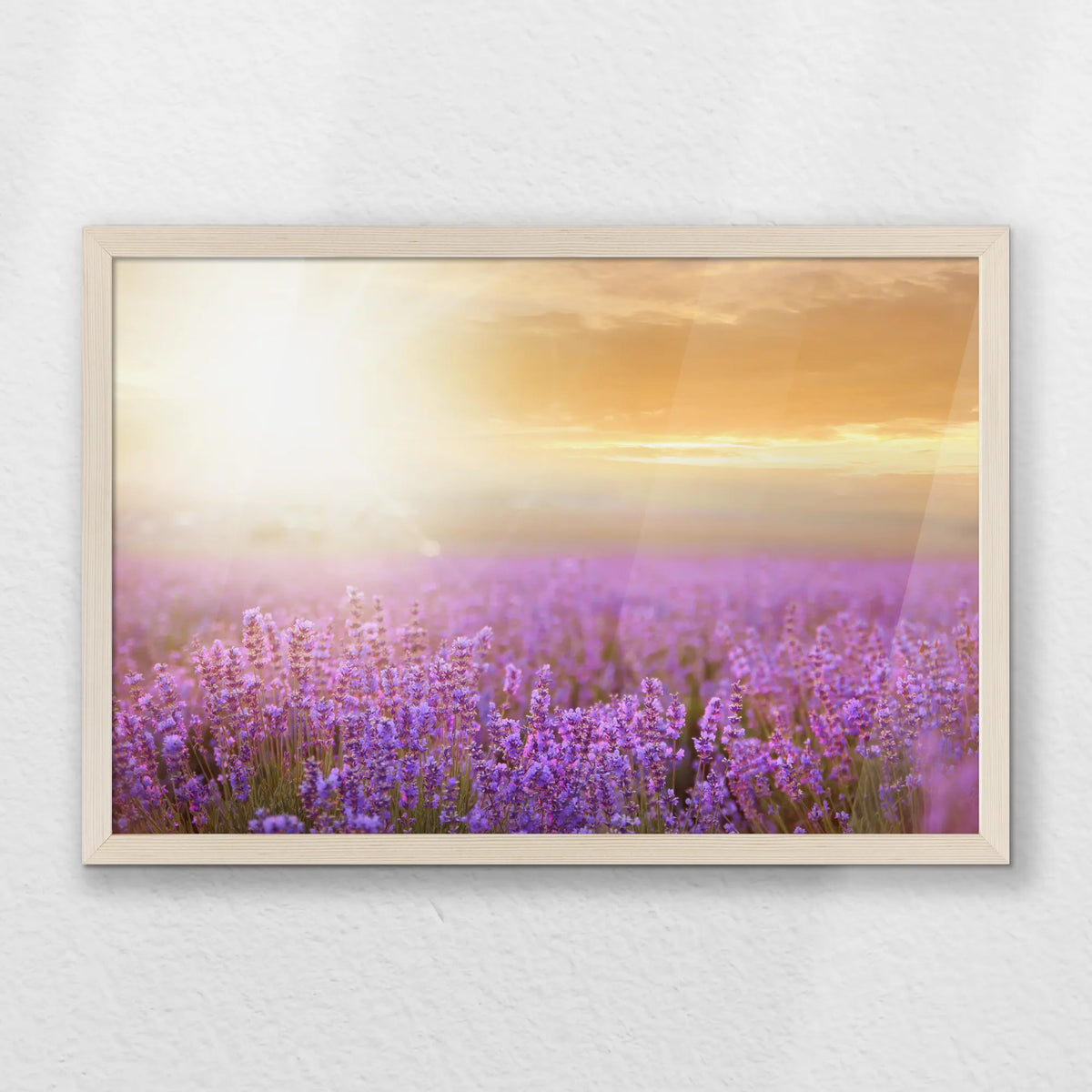 PN-060W040