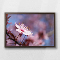 LWN060W040