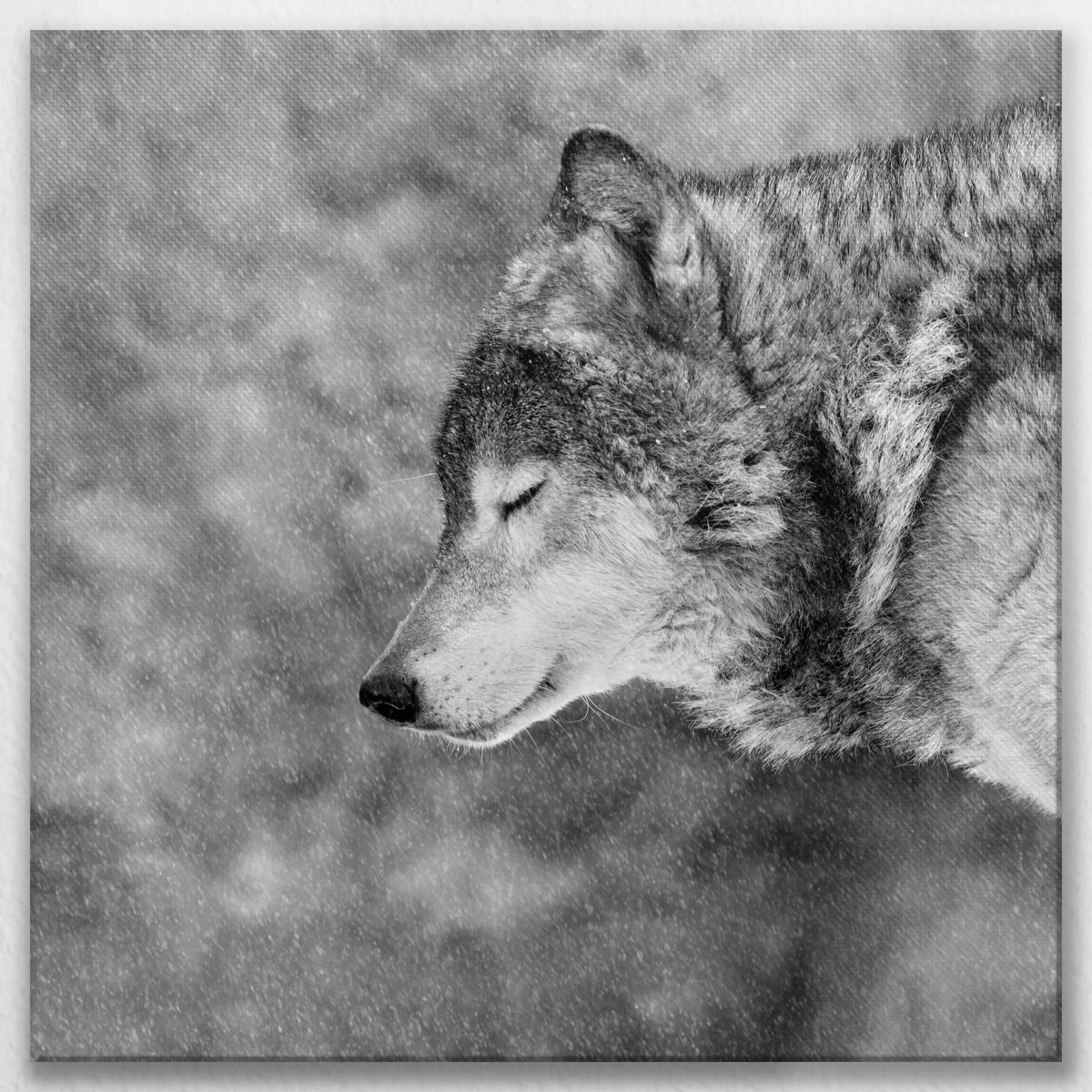 LW-070W070