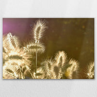LW-120W080