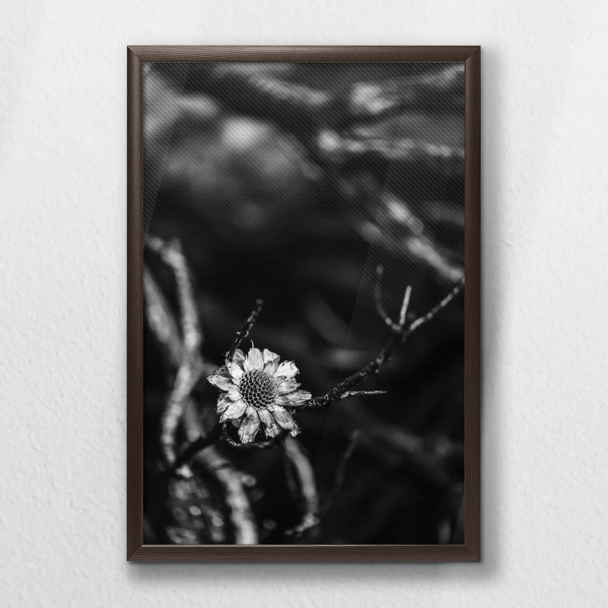 LWN040W060
