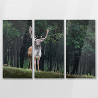 AC-090R060