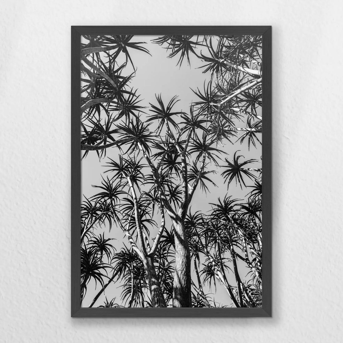PK-040W060