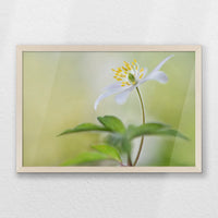 PN-060W040