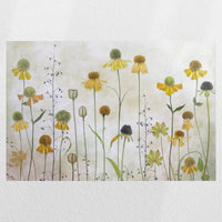 PO-045W030