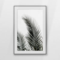 PBP080W120