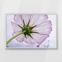 PW-093W062