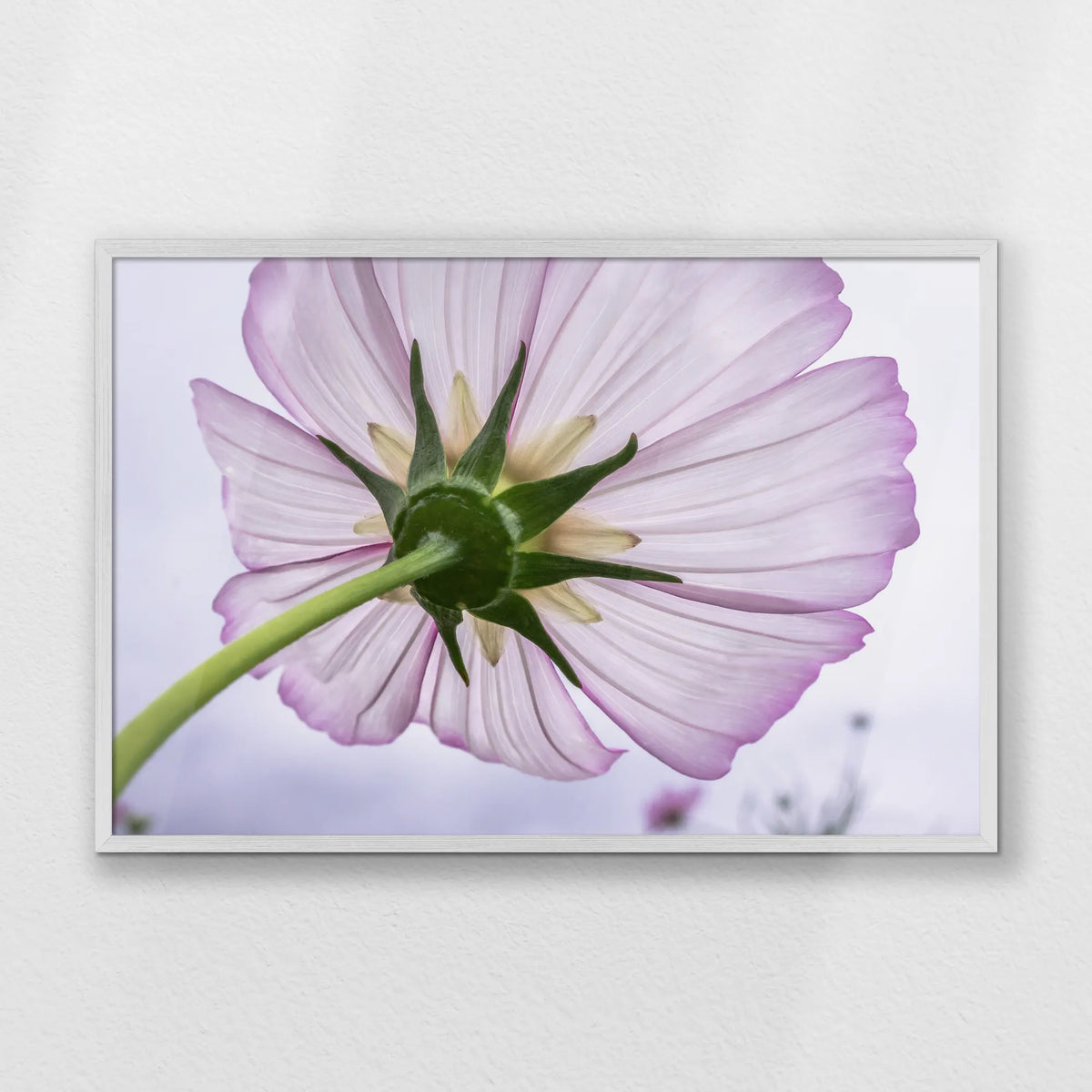 PW-093W062