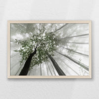 PN-060W040