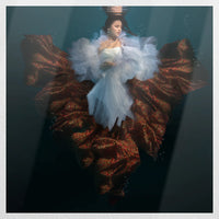 PO-050W050