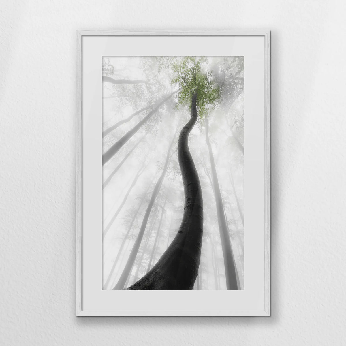 PWP062W093