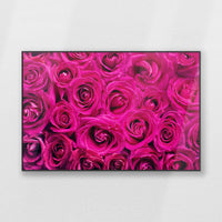 PB-120W080