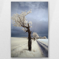 AL-030W045