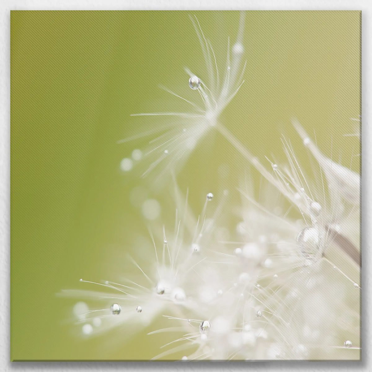 LW-090W090