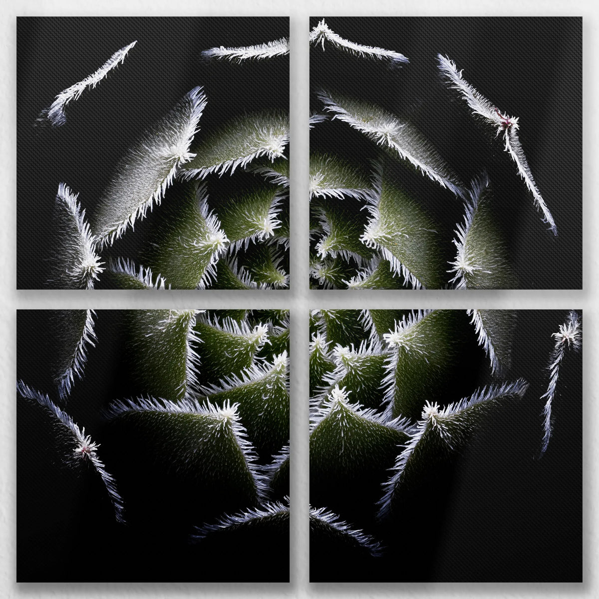 LW-080V080