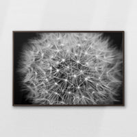 LWN120W080