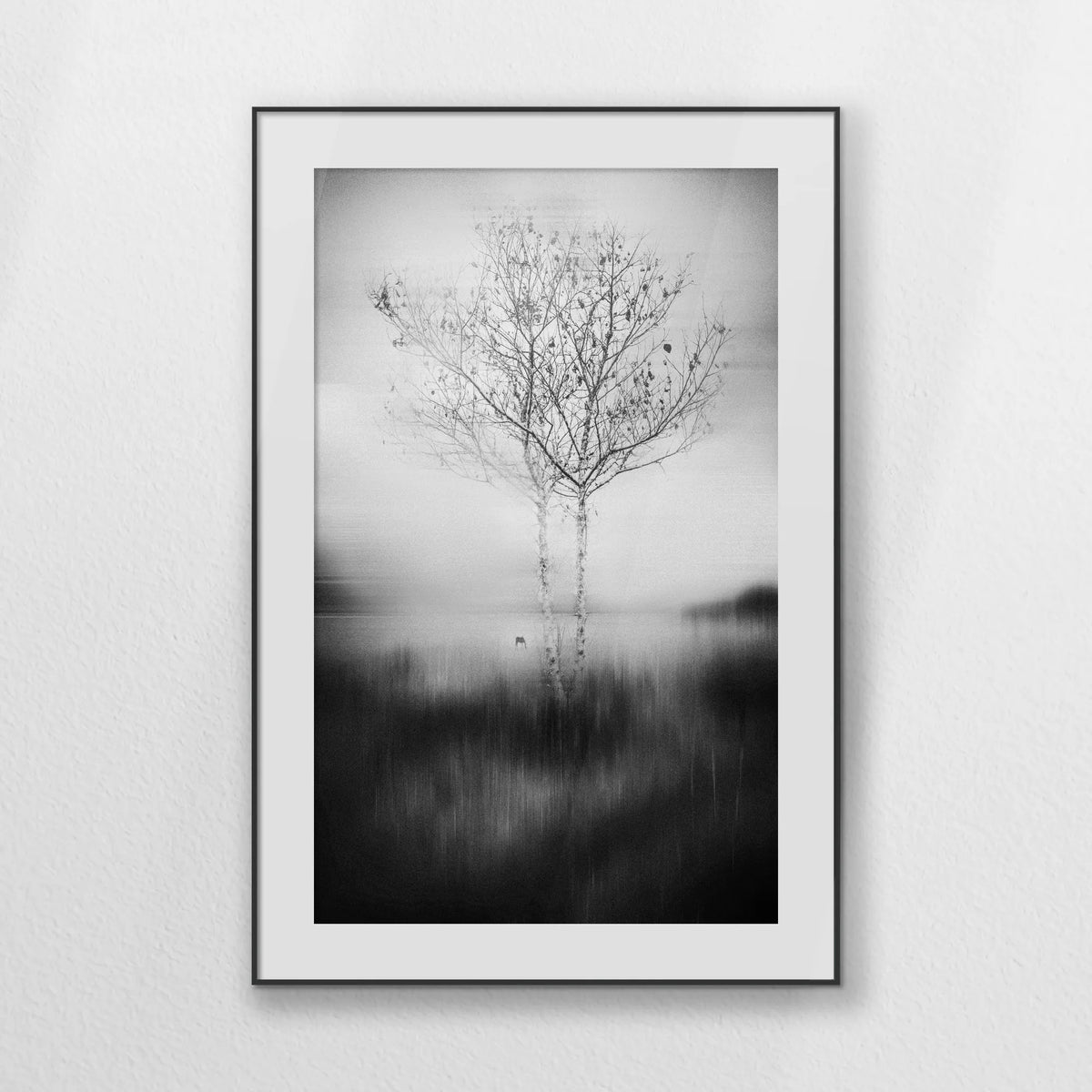 PBP080W120