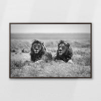 LWN120W080