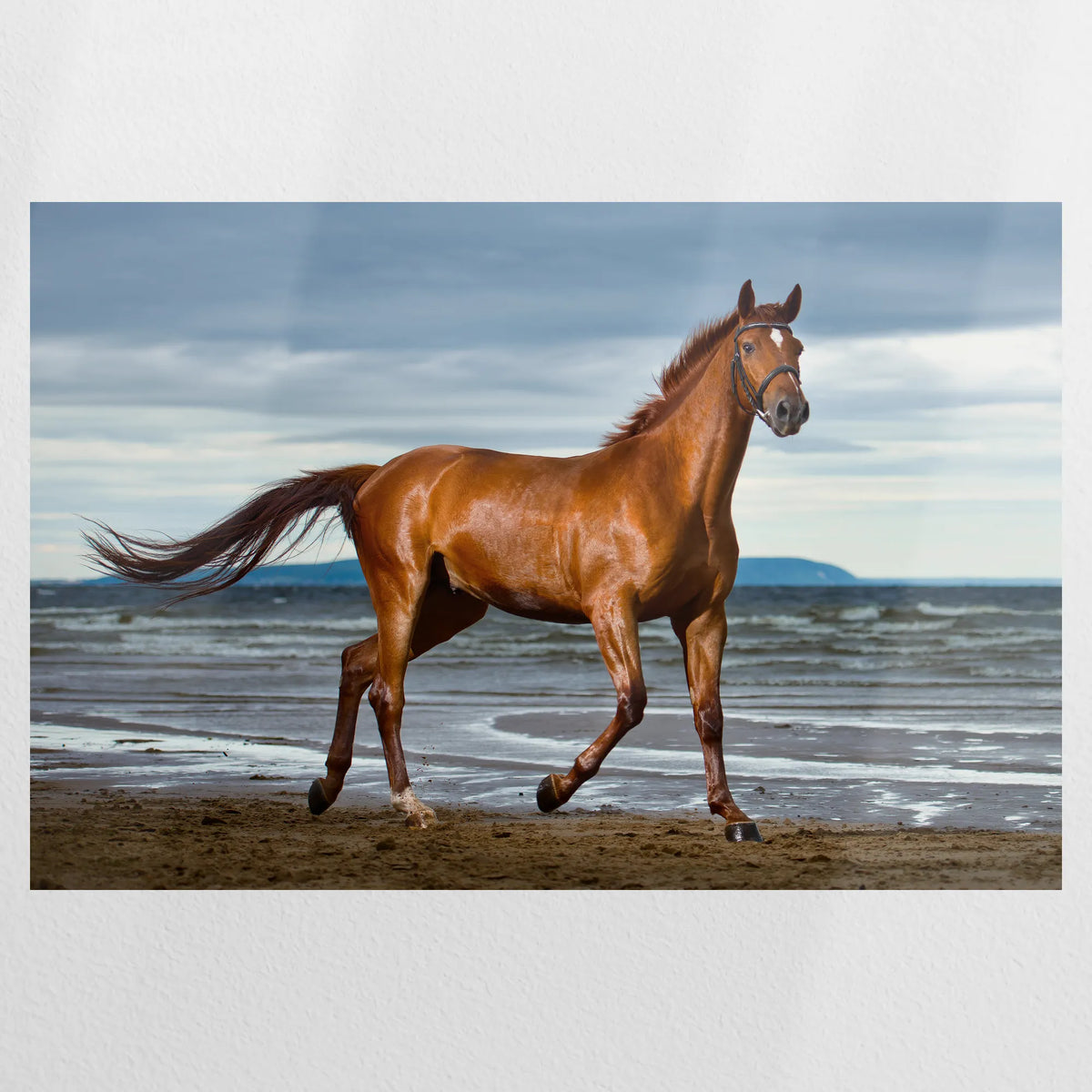 PO-120W080