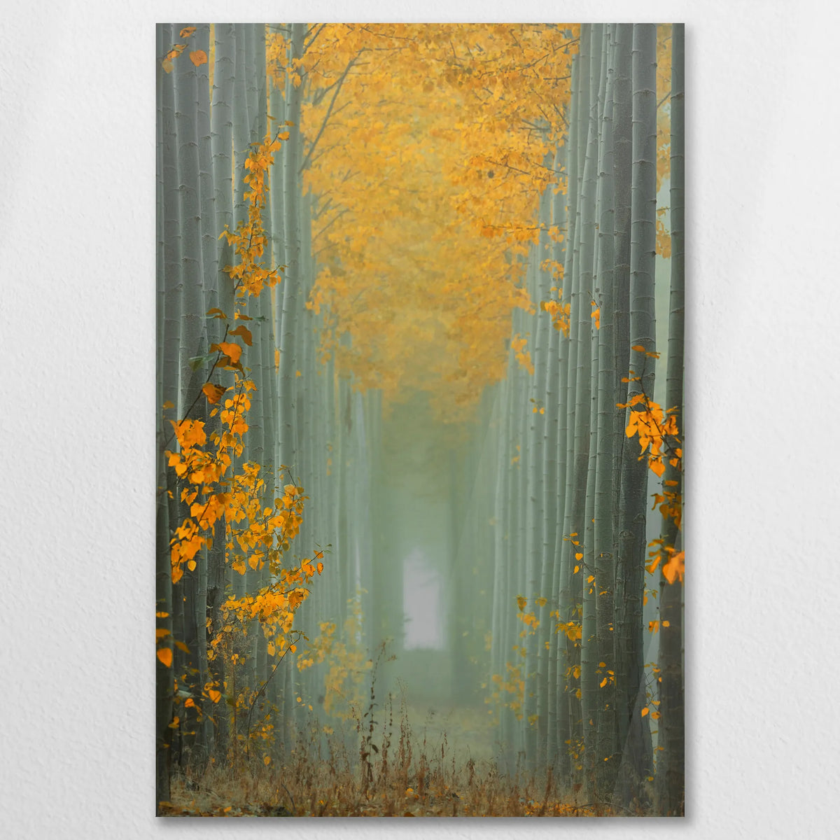 AC-060W090