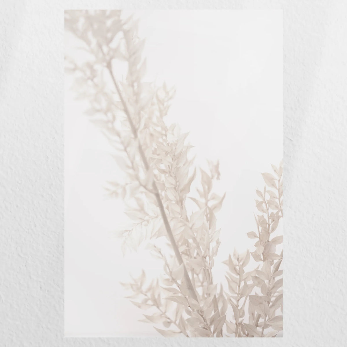 PO-050W075