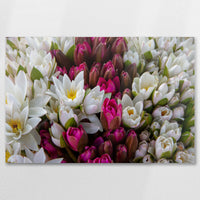 AC-075W050