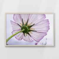 PN-093W062