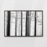 LWN120W080