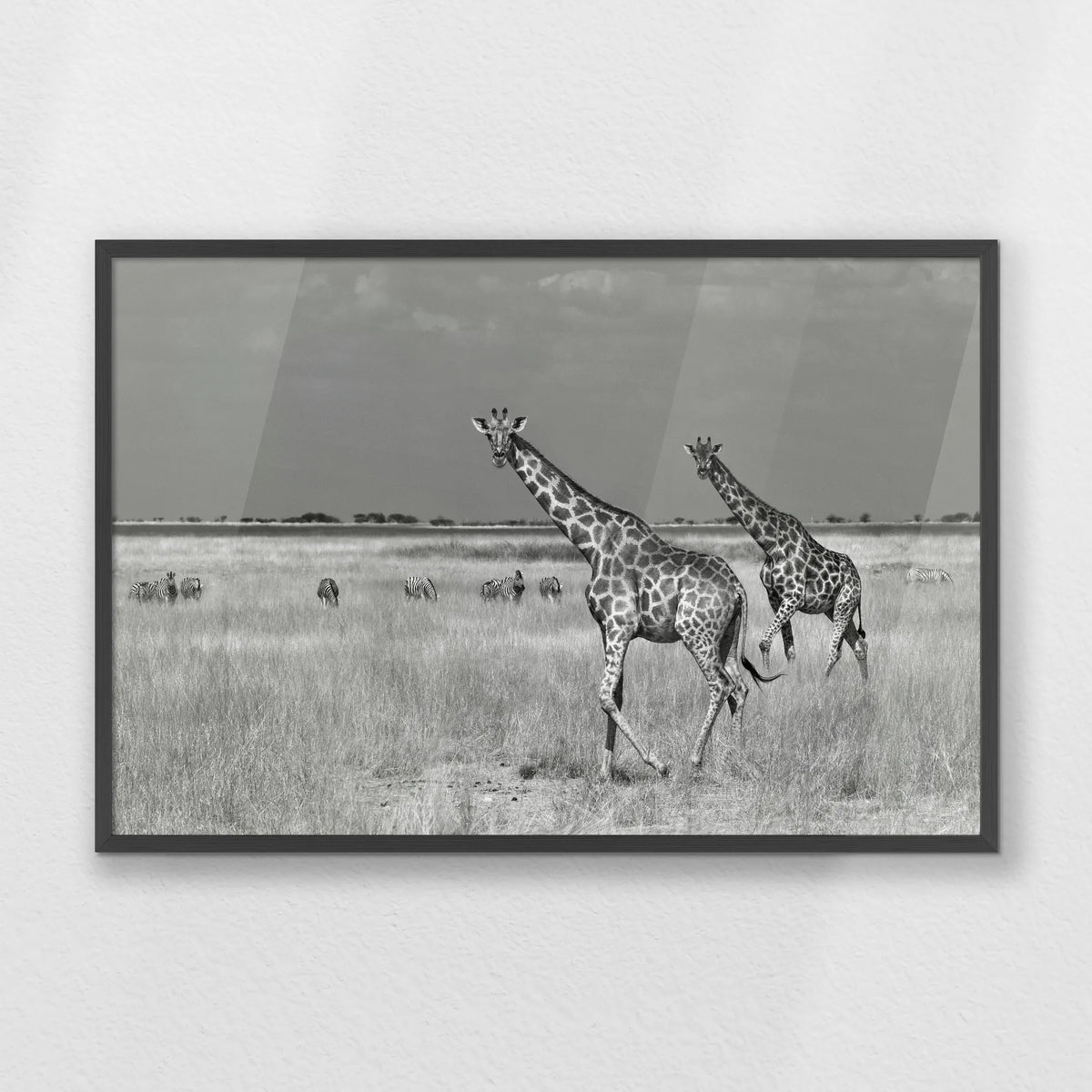 PK-093W062