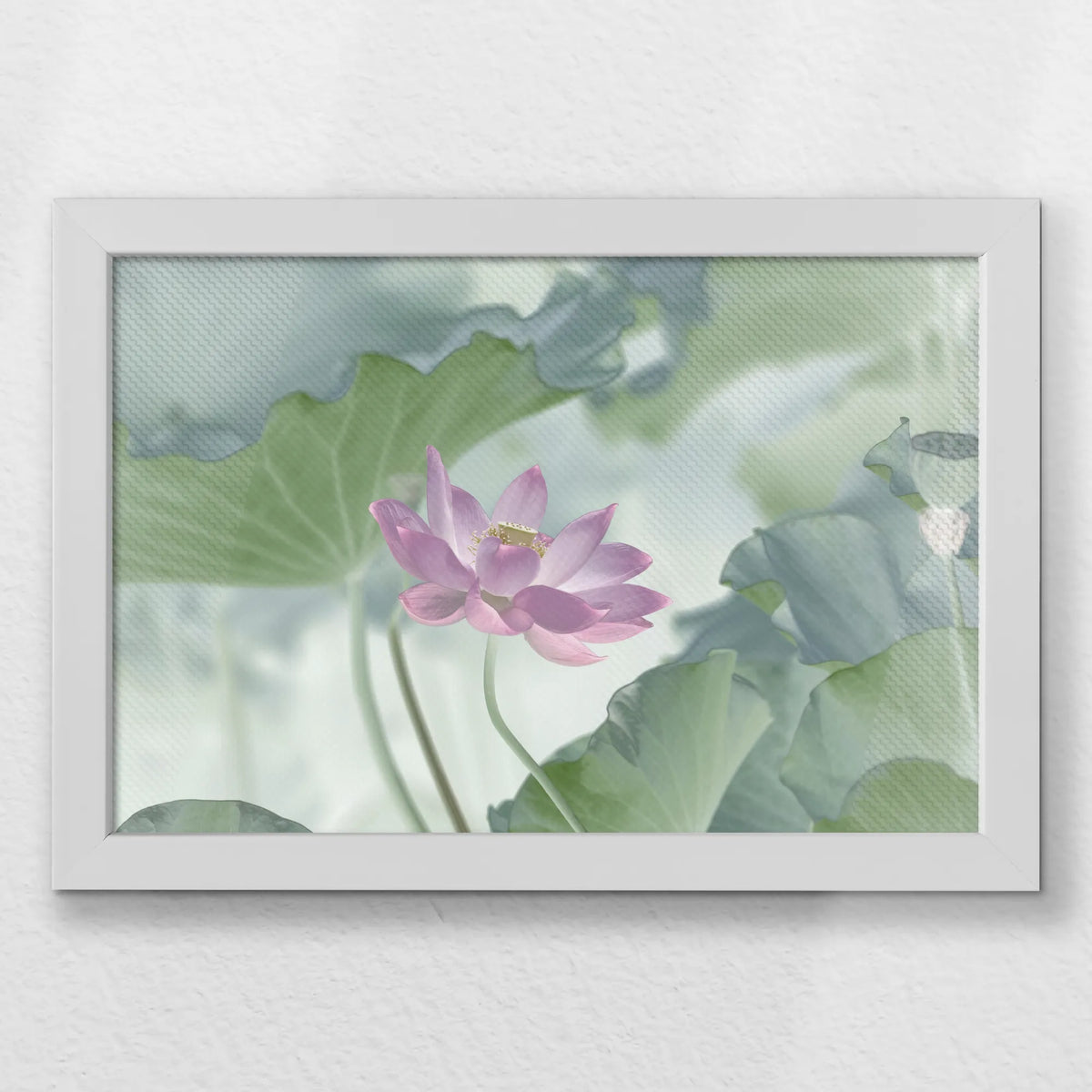 LWW030W020