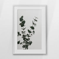 PWP062W093