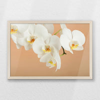 PN-060W040