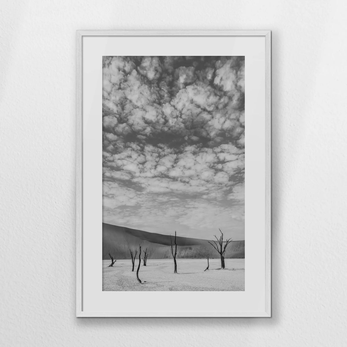 PWP062W093
