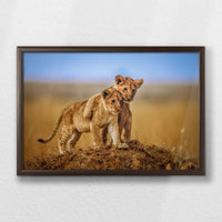 LWN060W040