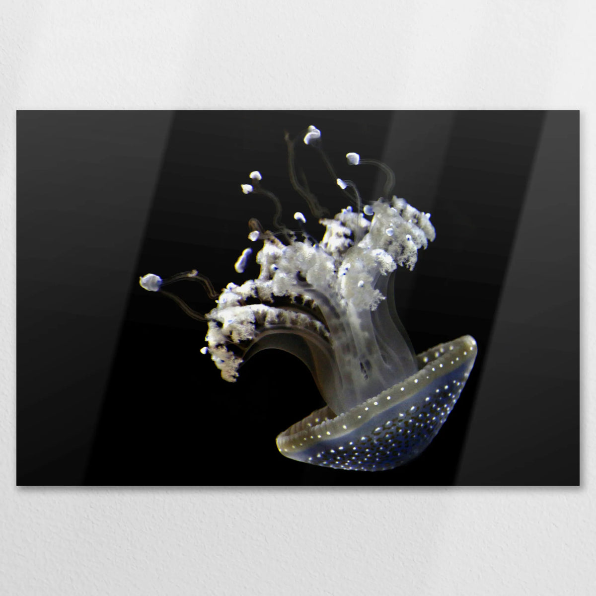 AL-120W080