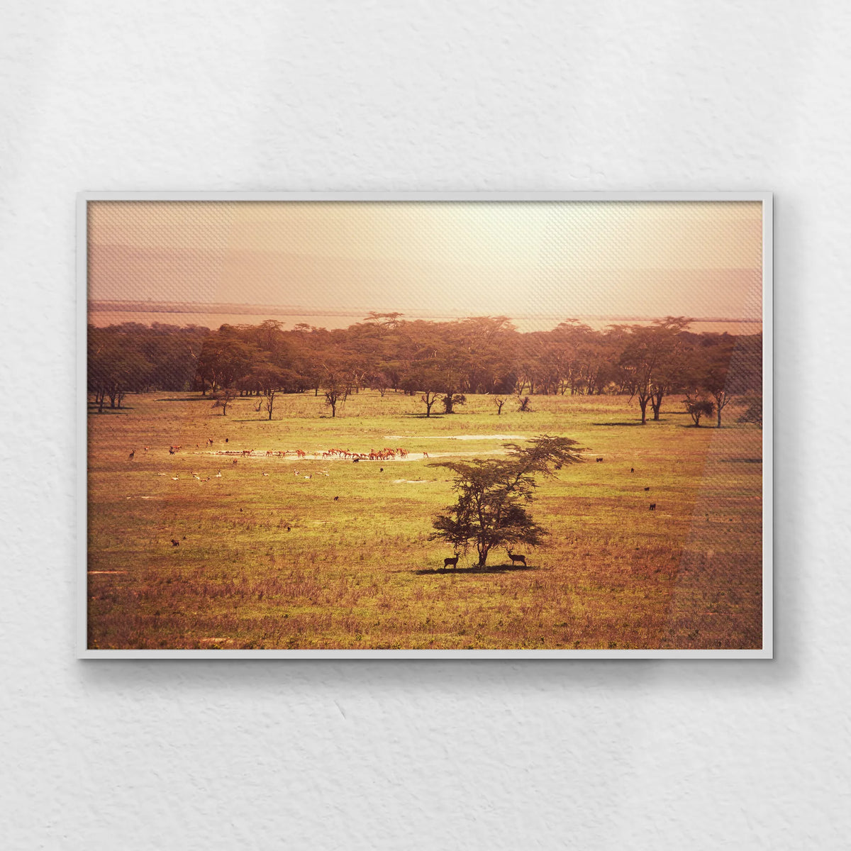LWW120W080