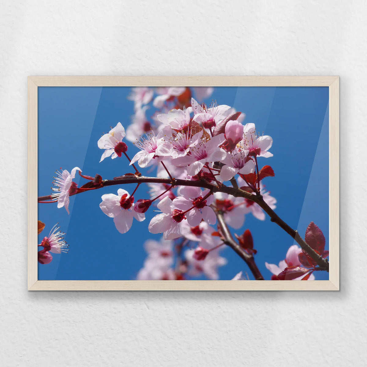 PN-060W040