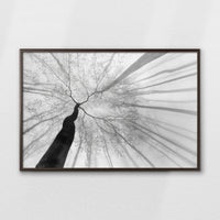 LWN100W070