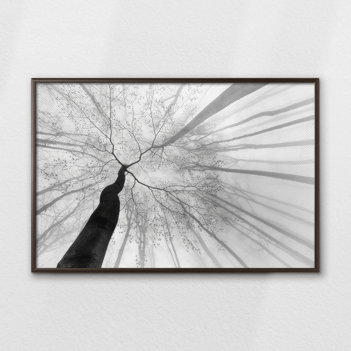 LWN100W070