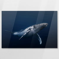 AC-075W050