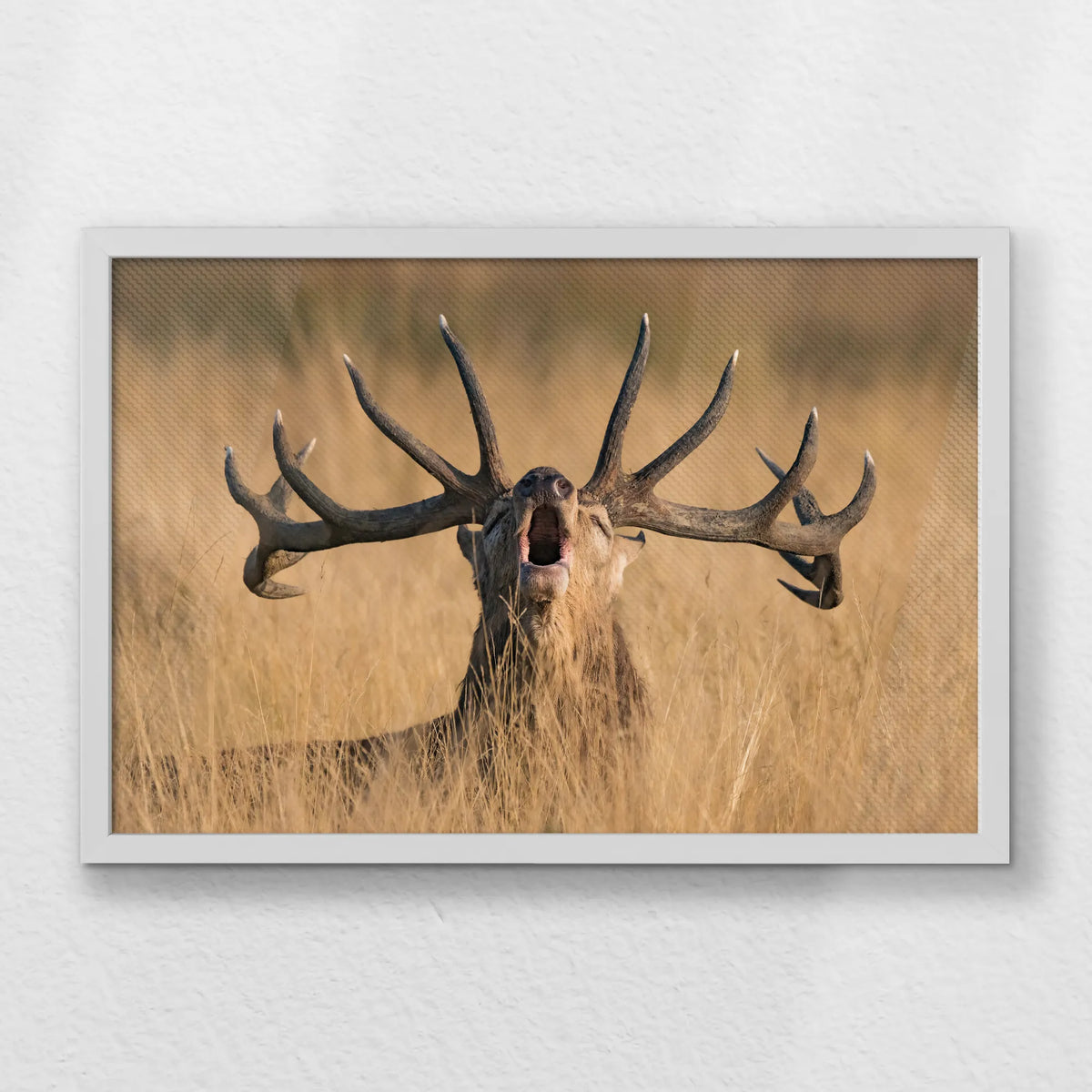 LWW060W040