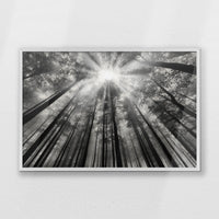 PW-093W062