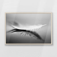 PN-093W062