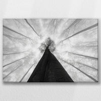 LW-045W030